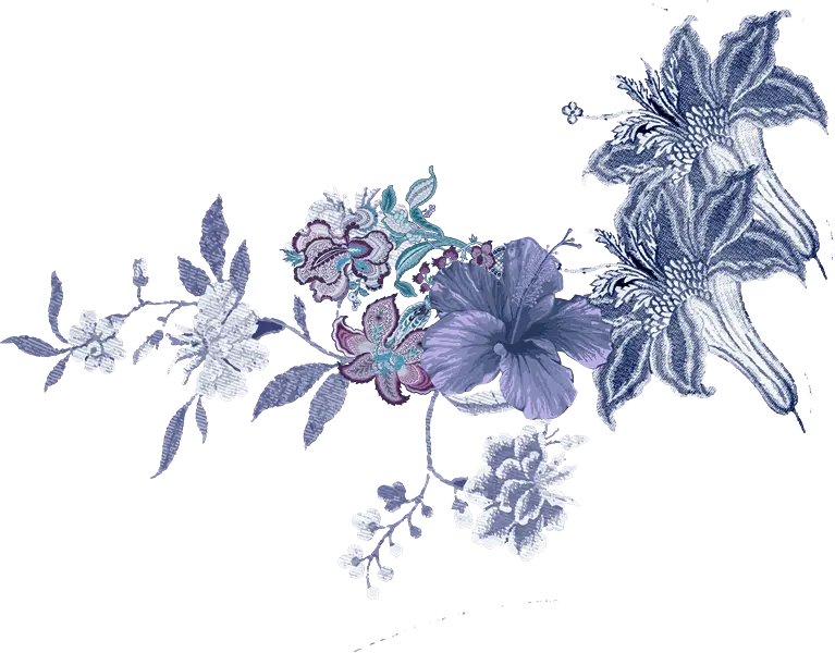 fd-min-1-e1701516530264